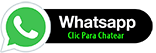 Chatea con el Profesor